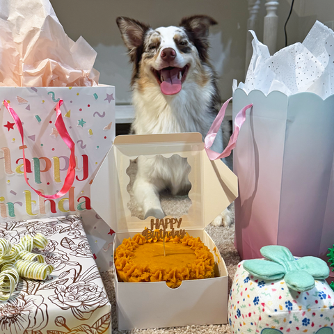 Barkday Cake