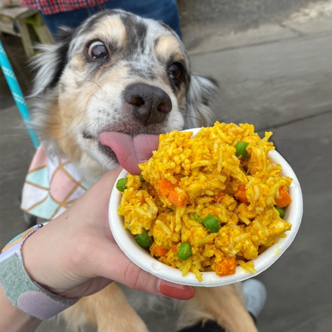 Dirty Bird | Chicken + Rice