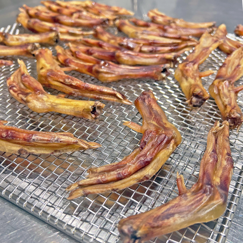 Duck Feet