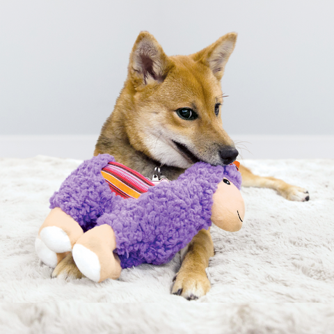 Sherps Llama