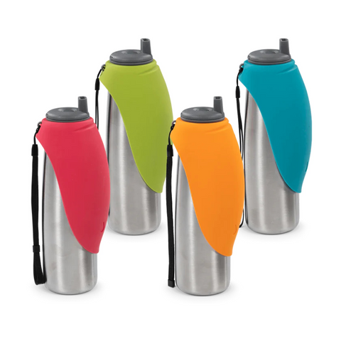 Water Bottle with Flip Up Bowl