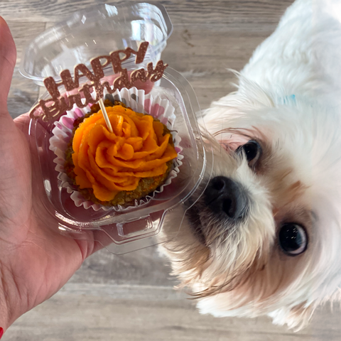 Pupcakes