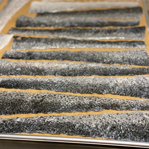 Salmon Skin