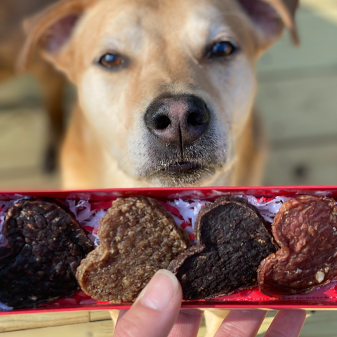Treat Gift Box