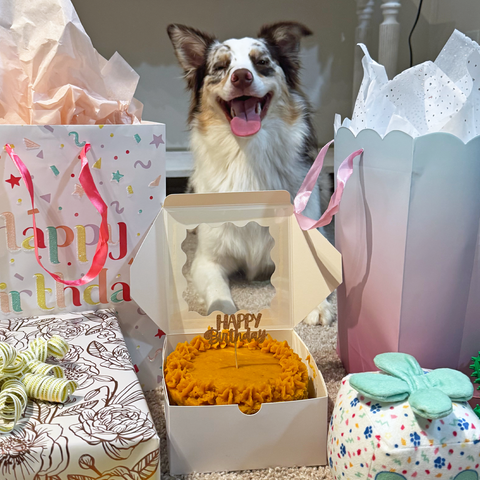 Barkday Cake | Lamb + Sweet Potato