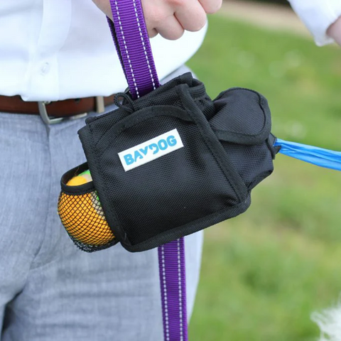 Pack-N-Go Bag