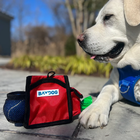 Pack-N-Go Bag