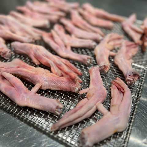 Duck Feet