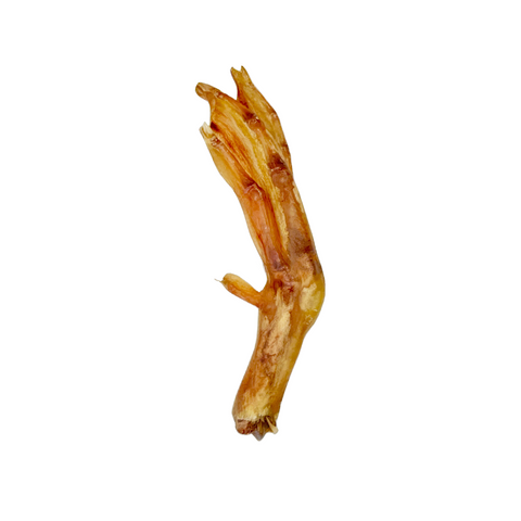 Duck Feet