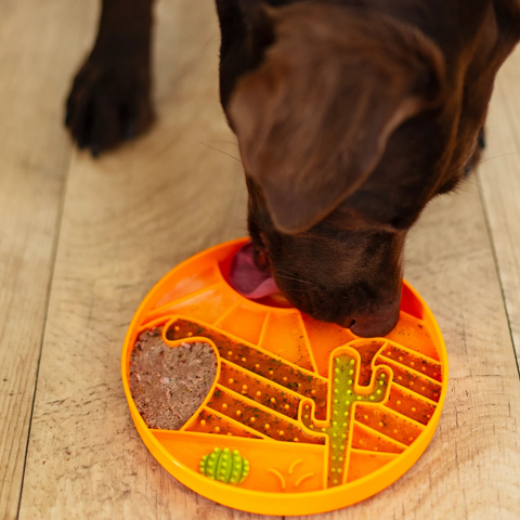 Interactive Lick Bowl