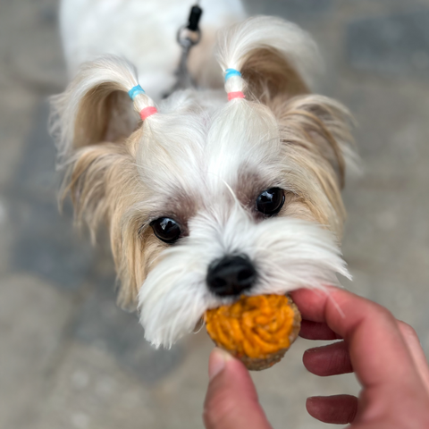 Pupcake Minis