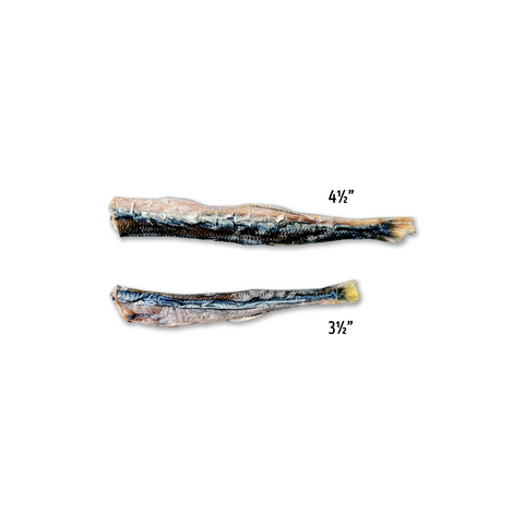Silversides | Wild-Caught