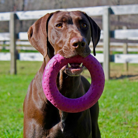 GOAT Sport Ring