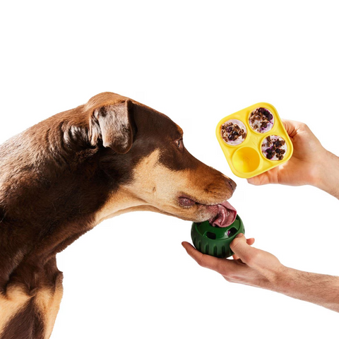 Pupsicle Treat Tray